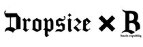 dropsize-b2b